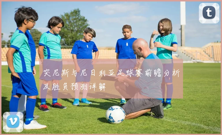 突尼斯与尼日利亚足球赛前瞻分析及胜负预测详解