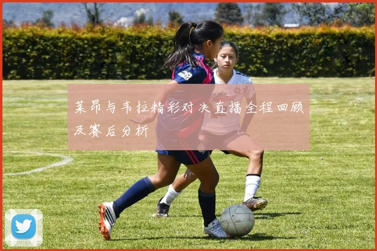 莱昂与韦拉精彩对决直播全程回顾及赛后分析