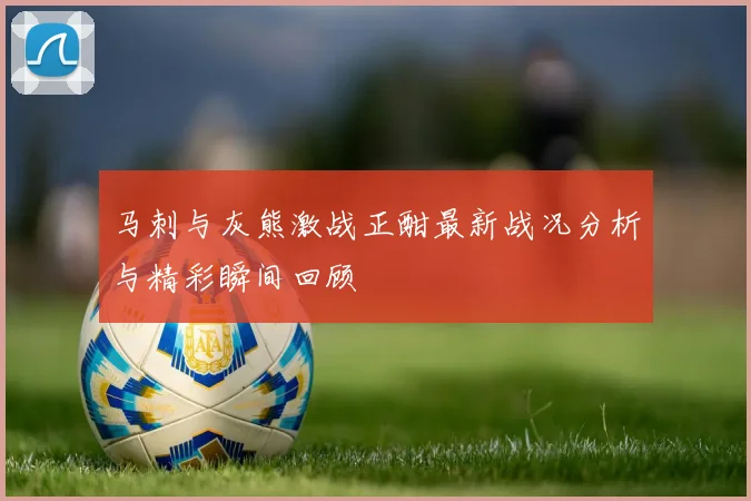 马刺与灰熊激战正酣最新战况分析与精彩瞬间回顾