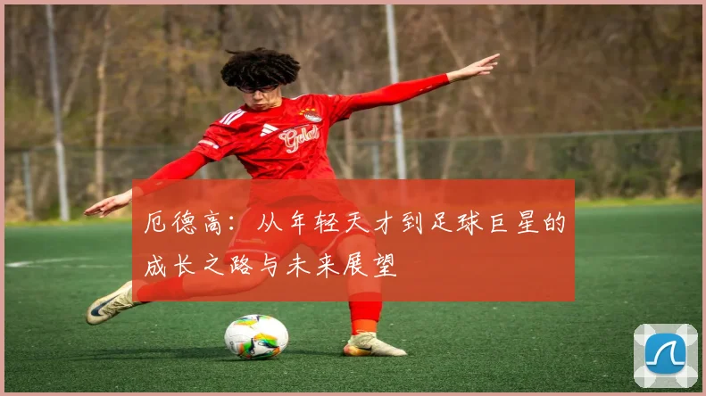 厄德高：从年轻天才到足球巨星的成长之路与未来展望