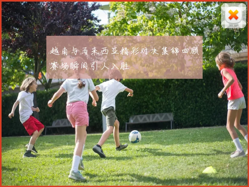 越南与马来西亚精彩对决集锦回顾赛场瞬间引人入胜